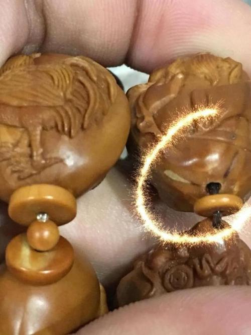 橄榄核的花核漏烂花开裂