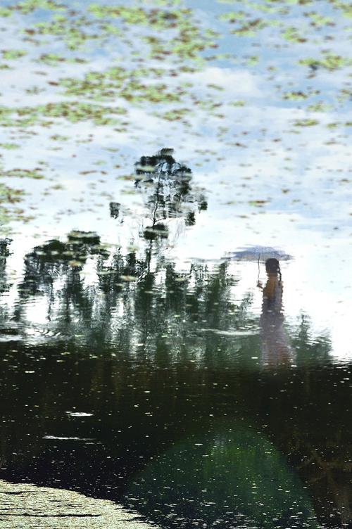 标题:浮萍过客