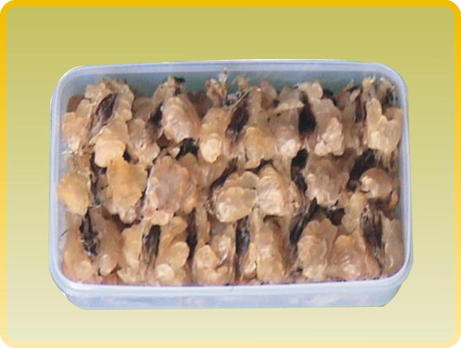 长白山林蛙油