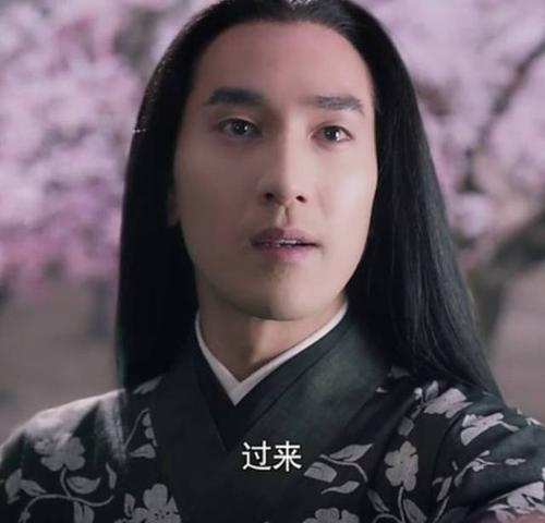 赵又廷的夜华,一头长发英气又高冷