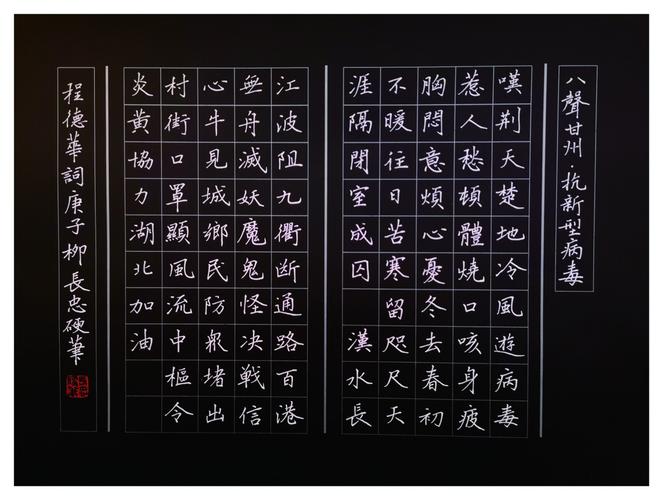 "墨香荆楚 共同战疫" 湖北省硬笔书法家协会会员大书法作品网络展(1)