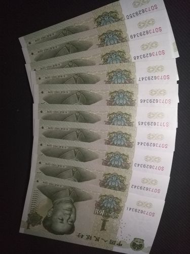 991-so大叶兰标十一组,欣