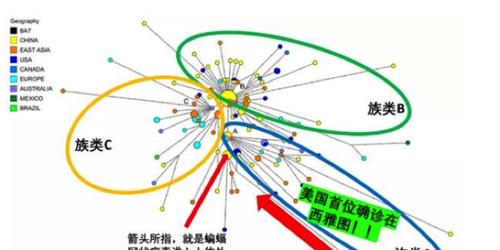 新冠病毒到底来自哪里多国研究均指出并非中国传入