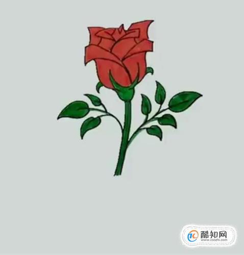 如何用铅笔画一朵玫瑰花?