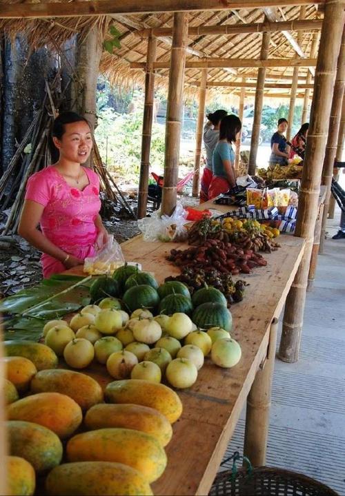 云南师生行之西双版纳【原始森林公园】,【傣族村寨】