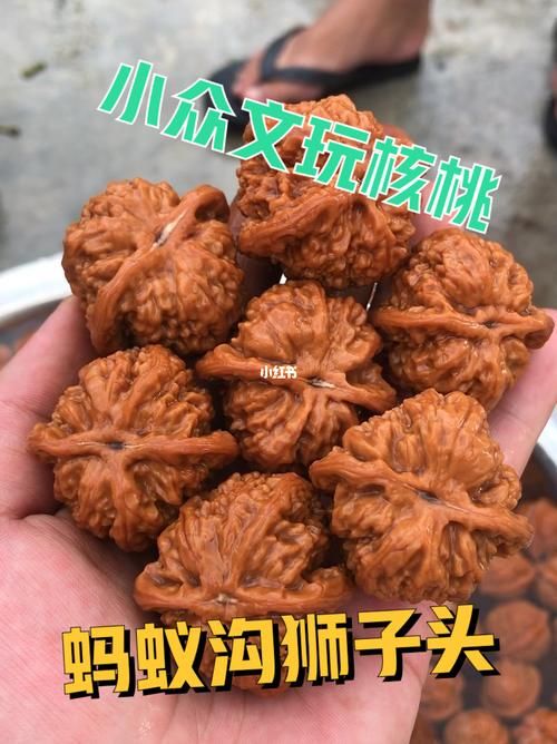 蚂蚁沟狮子头,是以产地命名的文玩核桃,属野生小众品种.