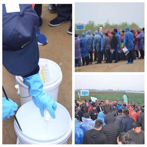 防除玉米抗性杂草,学习精准施药技术—拜耳爱玉优为你解忧