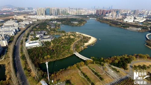 无人机掠过安徽大学新区和翡翠湖上空,枯黄的草木和翠绿的湖水相辉映