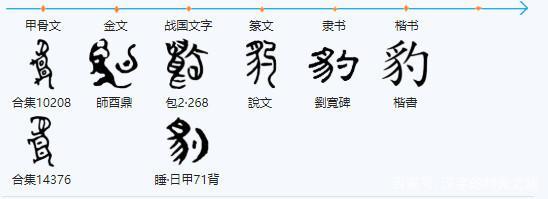 每日一汉字之-豹,豸字旁的原来是这个意思