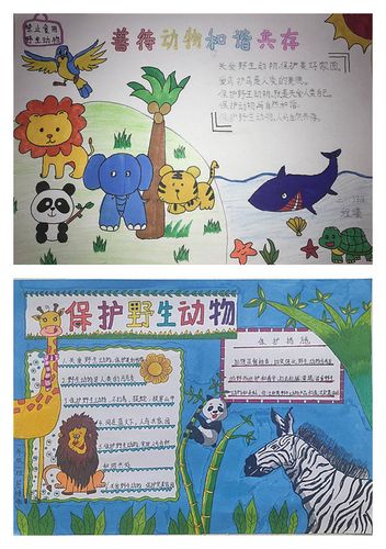 【建文明校 创文明城】经开区第二小学开展"不食用野生动物"手抄报