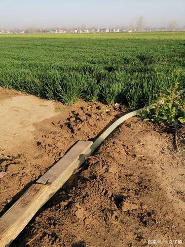 春耕——油菜花——浇地——田野晚景