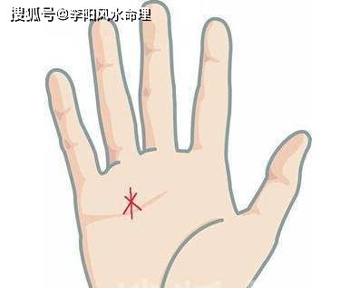 豪宅纹位于无名指的下方,在感情线(天纹)的上方,又称金房子.