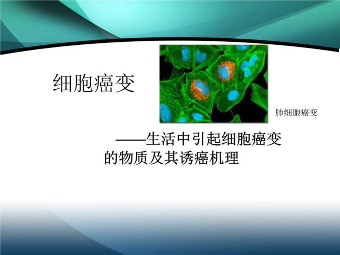 细胞癌变机理.ppt