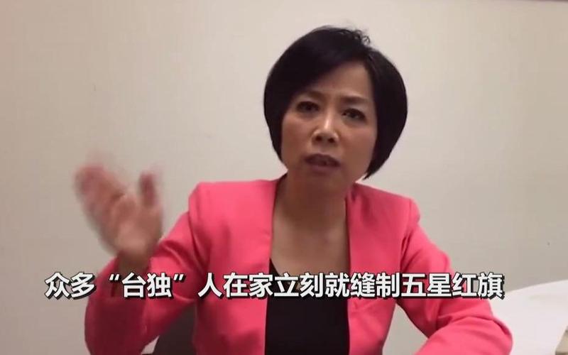 专访台湾政论节目主持人黄智贤