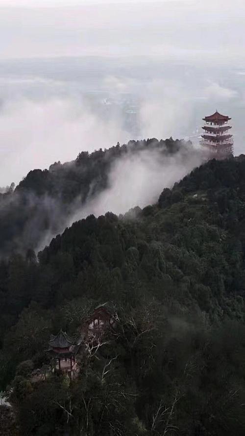 悠悠南山