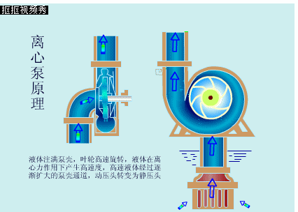 "水泵bèng"而不读"水bàng",详解离心泵是什么?