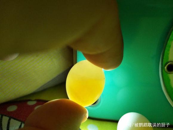 教你如何分辨鹦鹉蛋是否受精,仅需三秒轻松掌握,值得