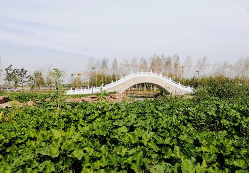头屯河谷文化旅游体育休闲森林公园拾影