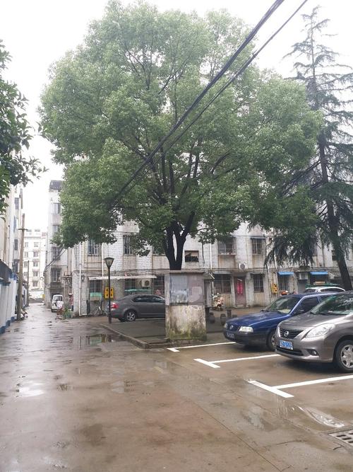 江苏省常州市溧阳市溧城镇开泰路67号天气预报
