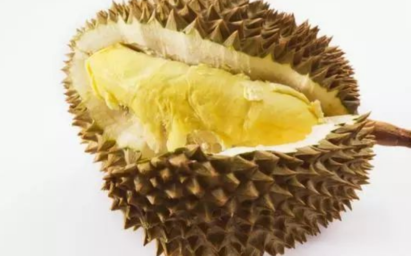 榴莲英文名示范读音?