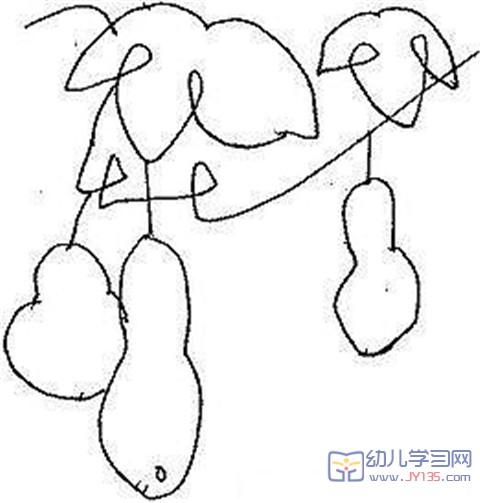植物简笔画大全_植物简笔画:葫芦