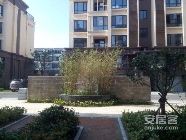 青岛小区 胶州小区 三里河小区 香汕公馆 实景图 1/ 10  