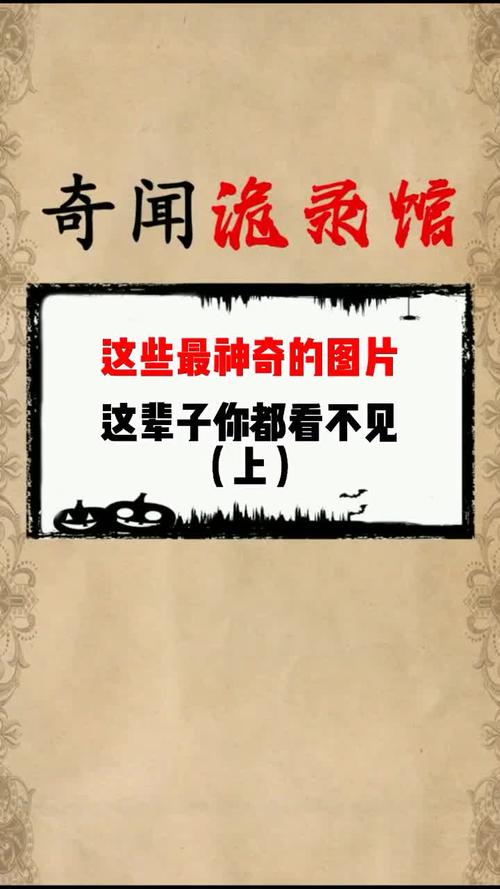 奇闻异事#奇闻#罕见#奇闻奇事