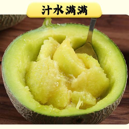 日本品种九哥玫珑蜜瓜口口蜜静冈夕张网纹瓜海南蜜瓜