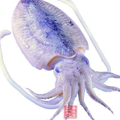 乌贼骨磨粉刷牙