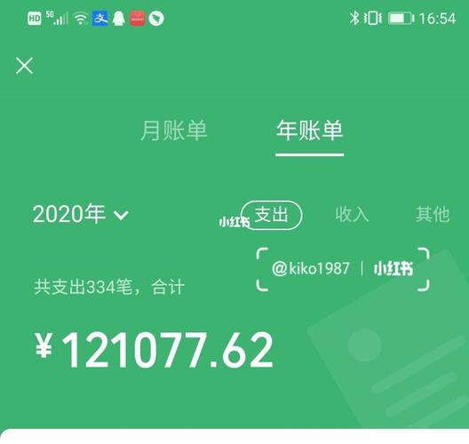 2020年账单_金盛佳苑攻略_2021_资讯_金融理财