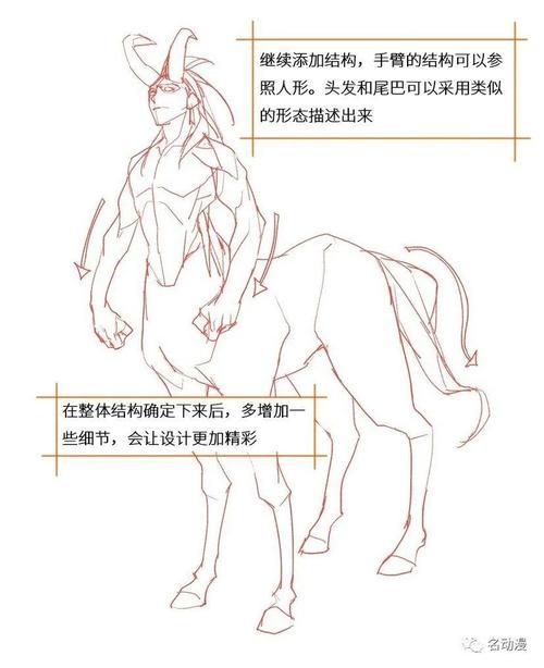 半人马初学者画法教程