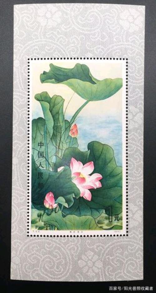 荷花小型张