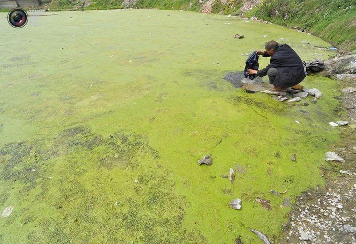 一些地域河流湖泊遭富营养化污染.资料图