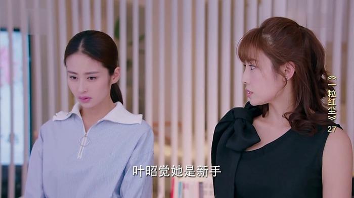 一粒红尘分集剧情 第27集