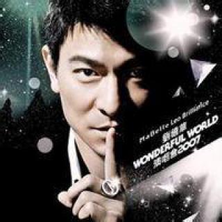 刘德华高清大头像图片大全