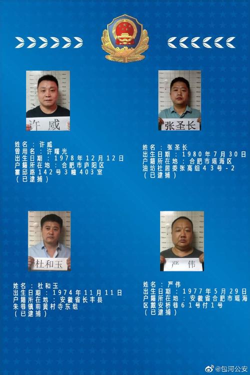 合肥这个犯罪团伙被团灭警方悬赏十万元征集犯罪线索