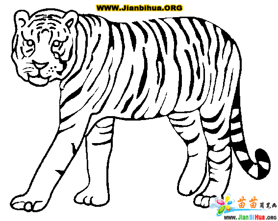 老虎怎么画简笔画画老虎最简单的画法老虎面部简笔画