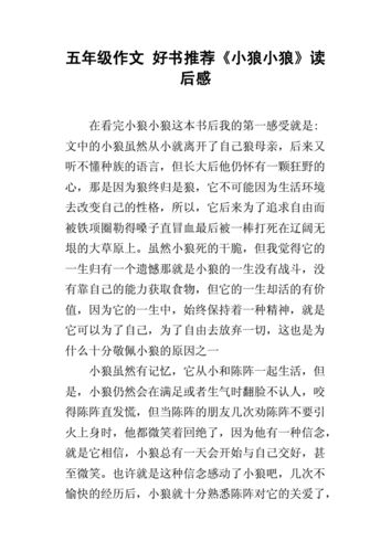 五年级作文 好书推荐《小狼小狼》读后感.docx