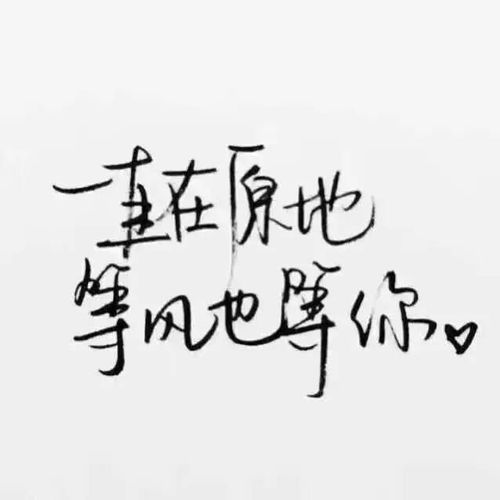 等风 等雨 我等你