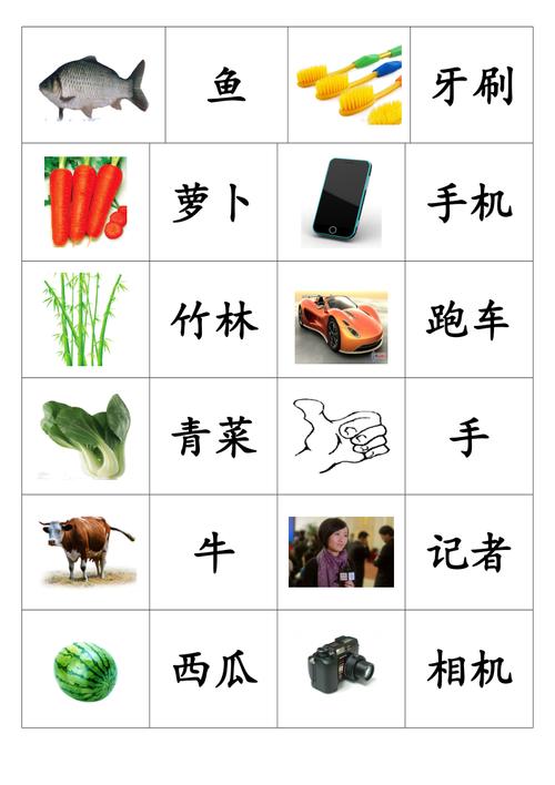 幼儿园幼儿园识字教学教案说过让幼儿主动识字