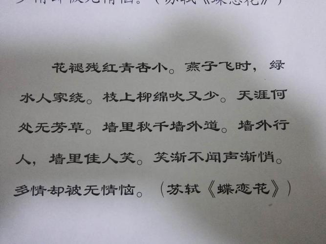 苏轼《蝶恋花》隶书