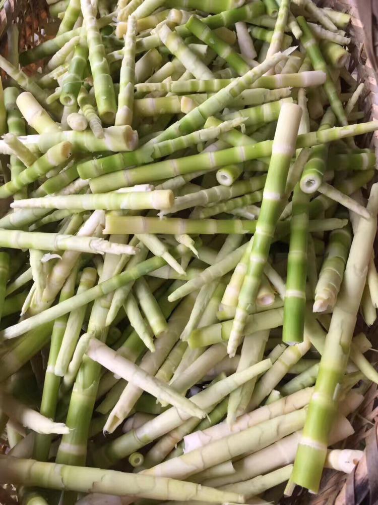 竹笋新鲜现挖小山笋_旅行_餐厅