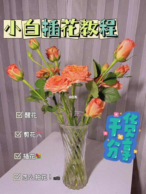 小小白插花剪花教程!简单易上手哦!