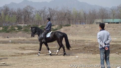 好骏的踏雪乌骓