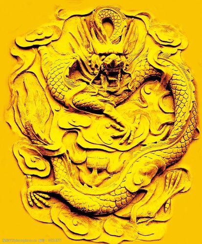 中国金龙图片