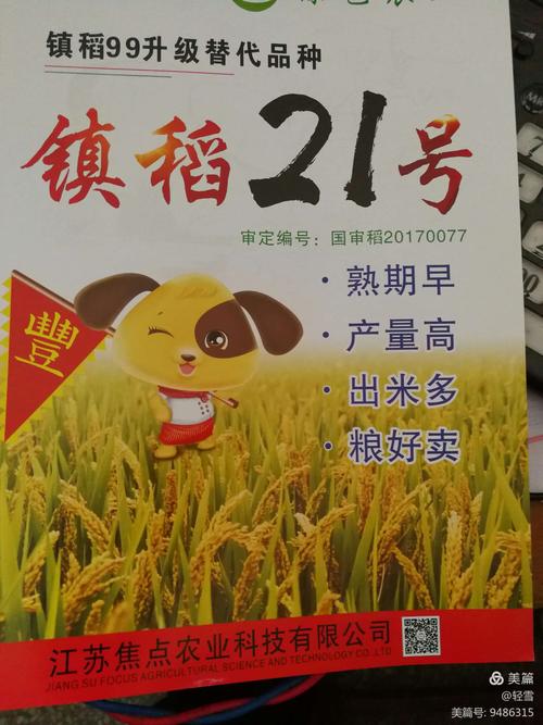 镇稻21