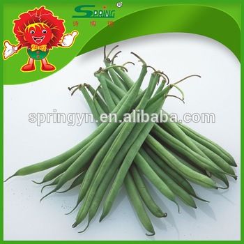 fresh string bean green beans fresh vegetables