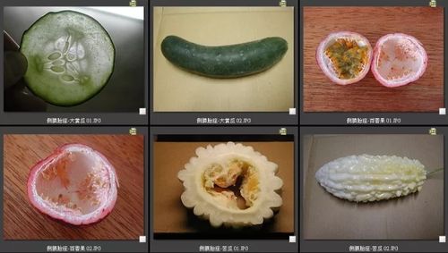 黄瓜,苦瓜,西瓜,哈密瓜这些瓜类的胎座发育地特别好(吃).