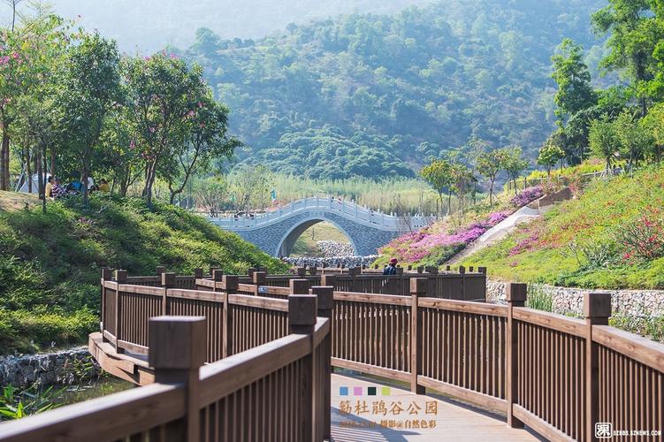 【91】宝安西乡簕杜鹃谷公园 @自然色彩