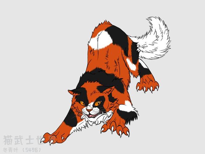 跟上冬青一起探索原著猫猫(*^-^*) - 猫武士世界